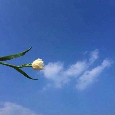 钢铁战争vivo官方版下载