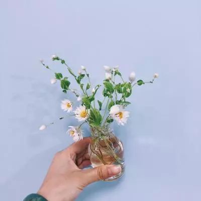修罗道online百度最新版下载